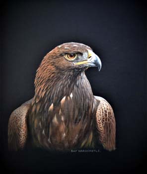 Golden Eagle 2